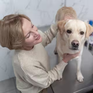 Doctors and the dog