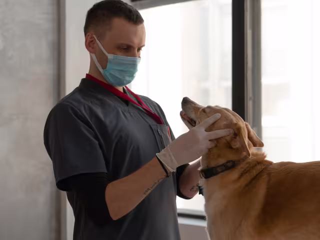 Doctor and the dog