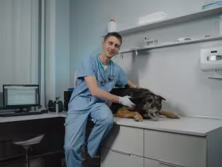 Dog