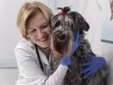 Doctor and dog